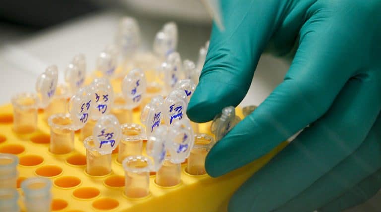 ADN synthétique l'avenir du stockage de données