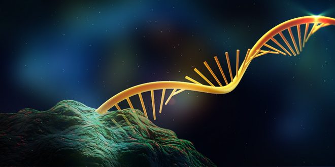 L'UCLA a découvert une nouvelle méthode d'analyse des isoformes pour lutter contre le cancer