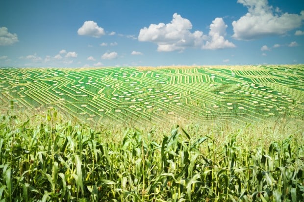 big data agriculture