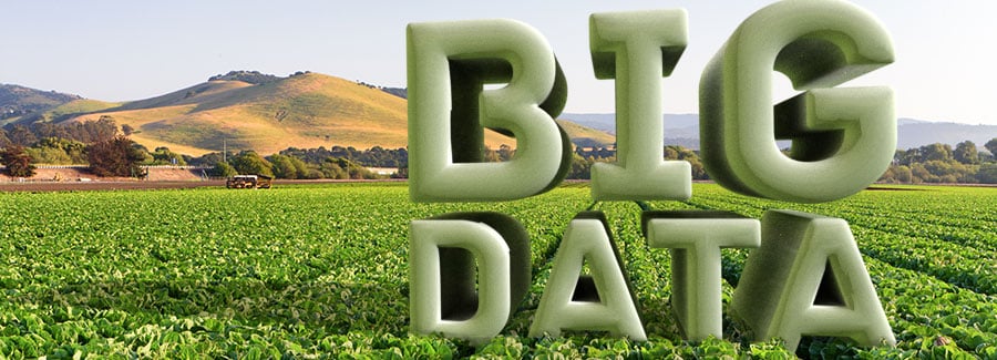 big-data champ agriculture