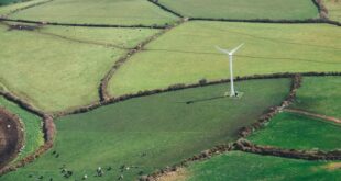 greenpeace une amazon google