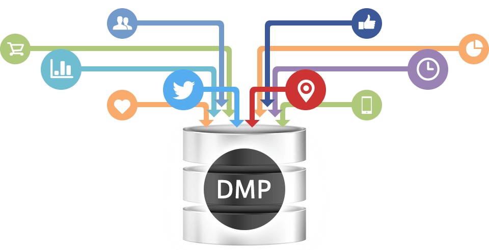 data management platform dmp analyses