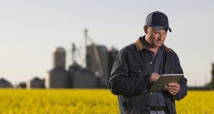 agriculture big data graines