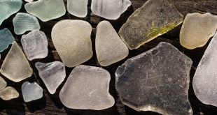 sharding base de données