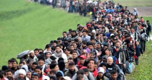migrants crise big data réfugiés