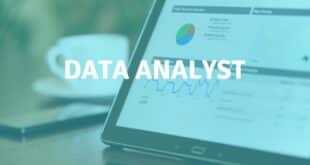 data analyst
