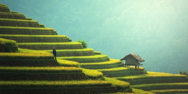 big data chine rurale