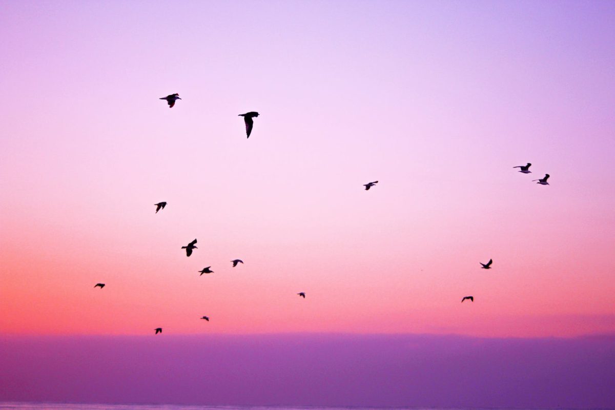 twitter multi cloud
