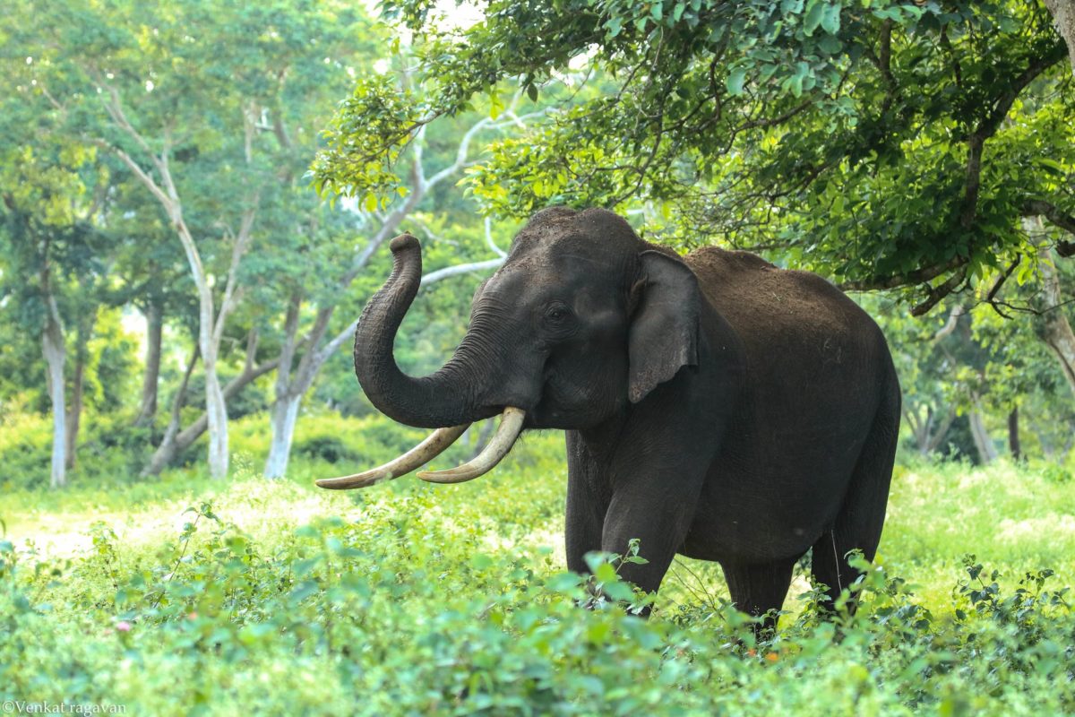 YARN tout savoir sur le gestionnaire de ressources d'Apache Hadoop