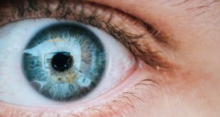 intelligence artificielle personnalite yeux