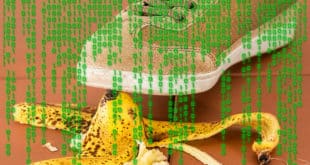 assurance big data étude