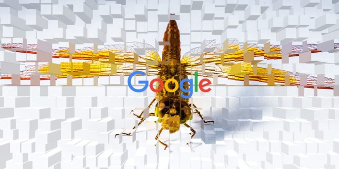 google dragonfly révolte