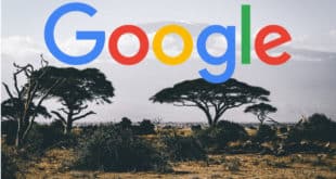 google centre ia afrique
