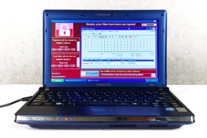 laptop malware enchères