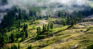 microsoft planetary computer