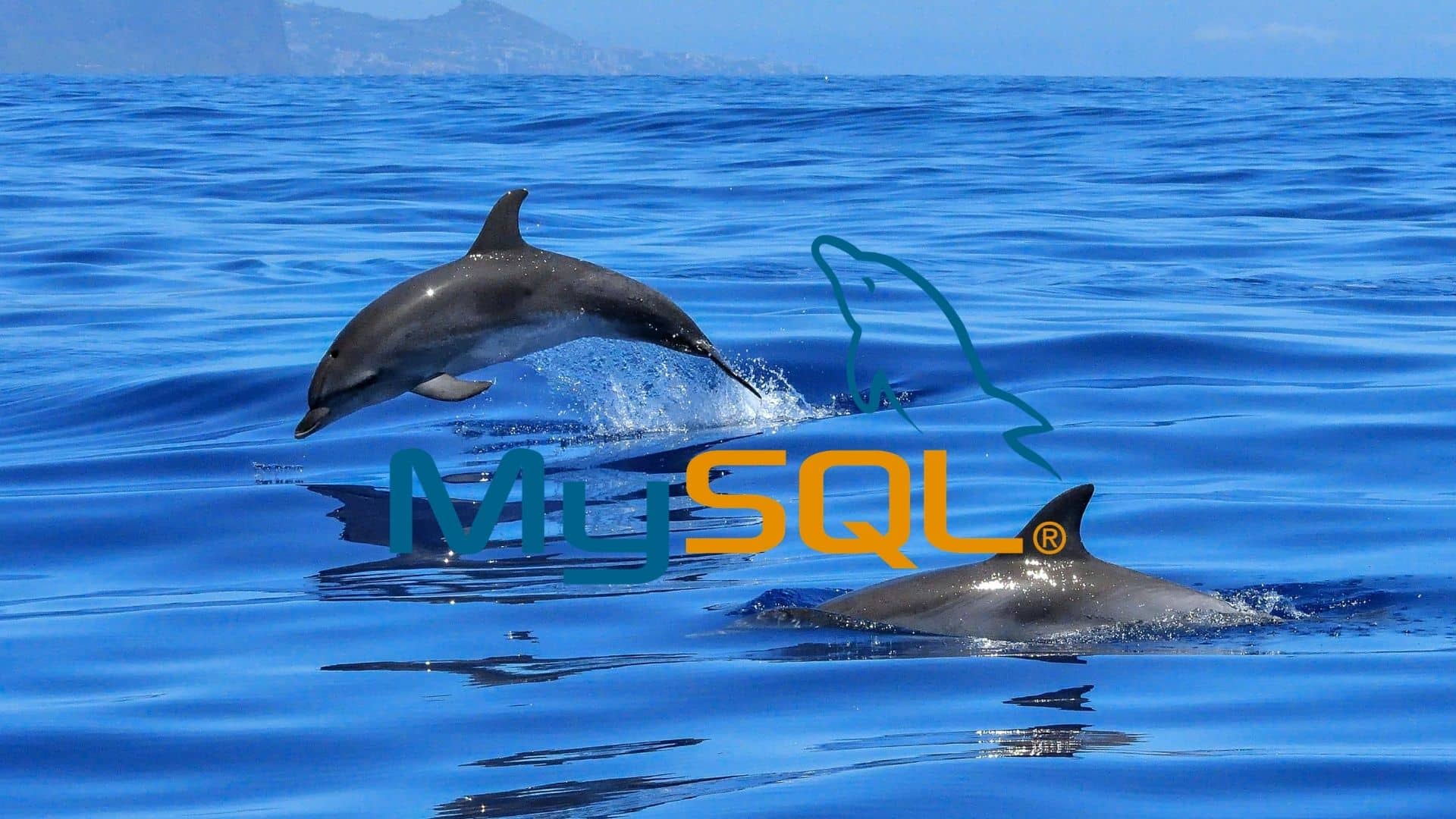 Qu est ce Que MySQL Tout Savoir Sur Le RDBMS Le Plus Populaire
