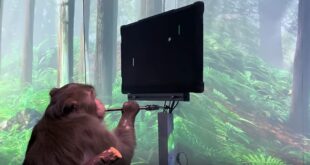 singe pong neuralink