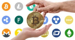 cryptomonnaie comparatif