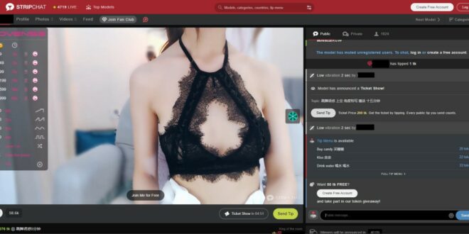 stripchat fuite données