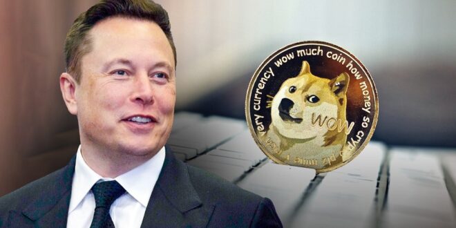 elon musk dogecoin