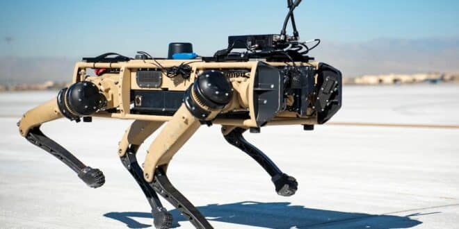Sécurité aux frontières : vers un déploiement des chiens-robots policiers aux États-Unis ?