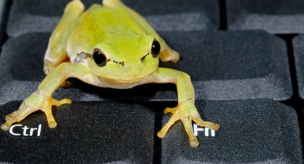 Le Malware FritzFrog revient avec de nouvelles capacités