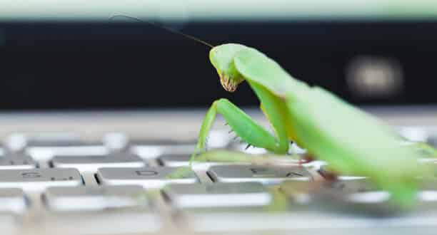 Le Malware Roaming Mantis arrive en France