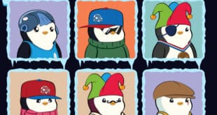 pudgy penguins tout savoir