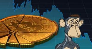 crypto crash nft