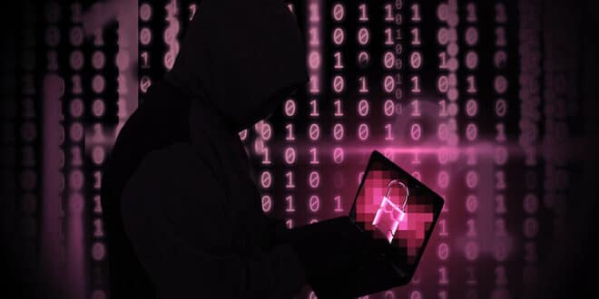 dark web crypto criminels