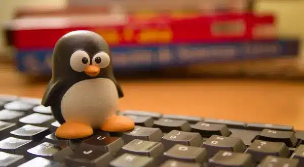 Linux : un nouveau ransomware en développement découvert