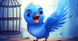 twitter limite tweets astuces