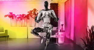 tesla optimus yoga video