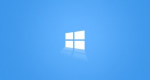 Windows 12 : un employé Microsoft leak des informations clés, puis supprime tout