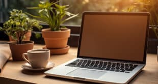 Comment choisir son hébergeur web pour un e-commerce ?