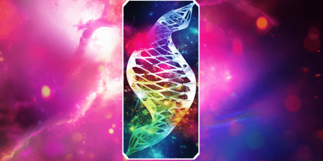 Carte ADN