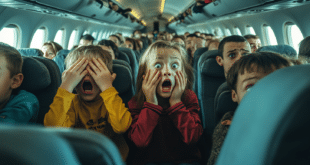 Qantas film explicite diffusé en vol