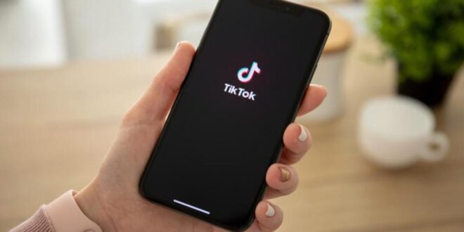 Rémunération TikTok