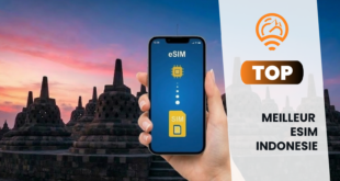 eSIM Indonesie