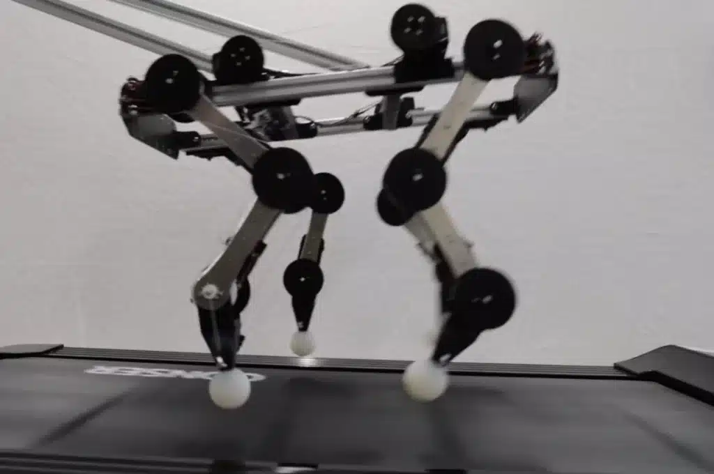 PAWS robot quadrupède