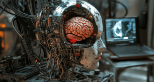 Un cerveau humain dans un robot IA en plein conception