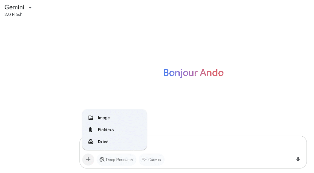 Interface d'importation d'images sur Gemini