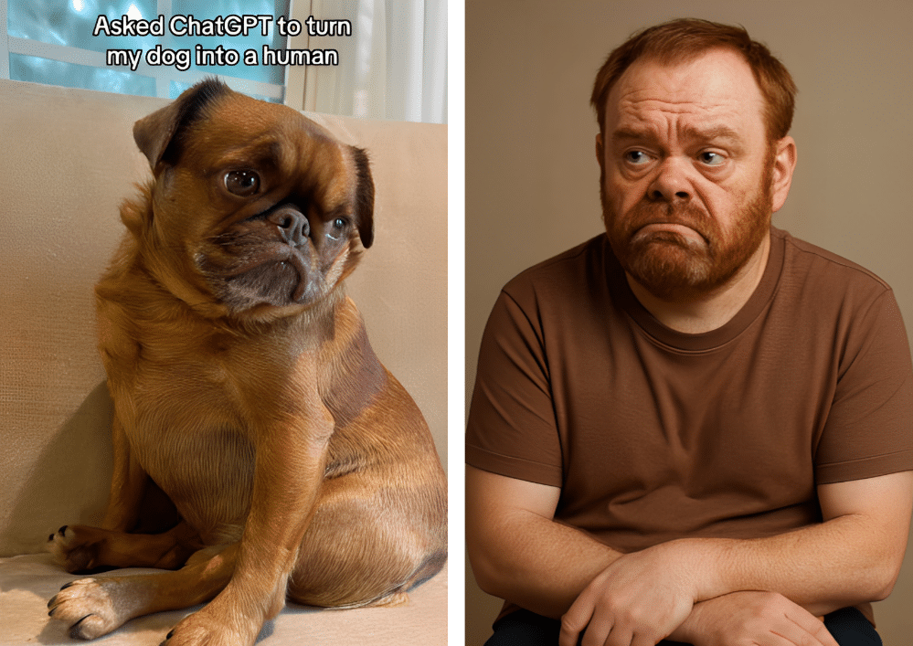 un collage de photos d'animal, un chien transformé en humain par ChatGPT, source : TikoTok