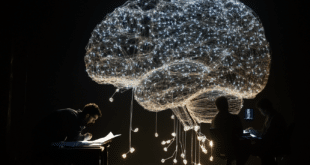 une scène où un grand cerveau digital, symbolisant un modèle de langage (LLM), est entouré de fils lumineux et de circuits électroniques, représentant le réseau complexe d'intelligence artificielle.