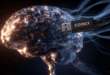 Un cerveau avec un cable USB nommé Codex