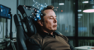 Implant Neuralink : 85 % des connexions au cerveau ont déjà pêté