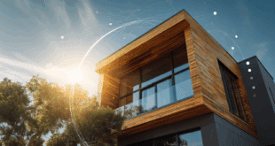 InventWood veut rendre le bois plus solide que l'acier.