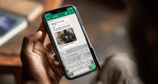 Une conversation WhatsApp ouverte avec un chat entre un utilisateur et ChatGPT