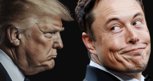 Violent clash entre Trump et Elon Musk : vers une faillite de Tesla ou une destitution ?