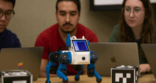 Ils bricolent un chien robot dopé à l'IA avec des pièces pas chères